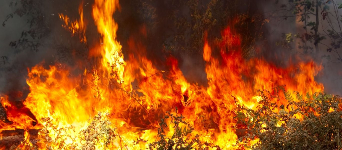 Μεγάλη φωτιά ξέσπασε στον Δήμο Πάργας- Κινείται προς τις πηγές του Αχέροντα